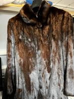 Bruine Bontjas saga mink, Kleding | Dames, Jassen | Winter, Ophalen of Verzenden, Zo goed als nieuw, Maat 38/40 (M), Bruin