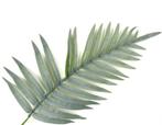 PALM KUNST BLAD, Huis en Inrichting, Ophalen of Verzenden, Nieuw