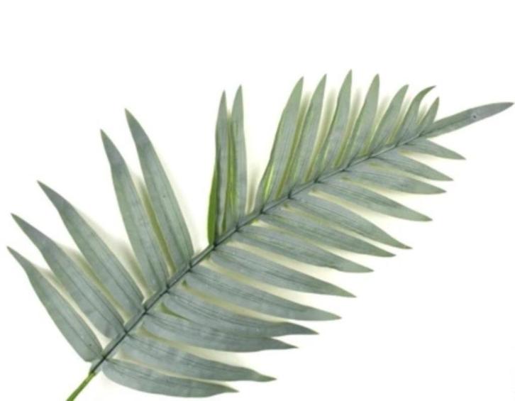 PALM KUNST BLAD, Huis en Inrichting, Woonaccessoires | Kunstplanten en Kunstbloemen, Nieuw, Ophalen of Verzenden
