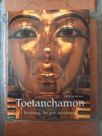Boek Toetanchamon, Ophalen of Verzenden, Gelezen, Schilder- en Tekenkunst