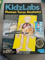 KidzLab Human Torso Anatomy, Ophalen of Verzenden, Zo goed als nieuw, Jongen of Meisje