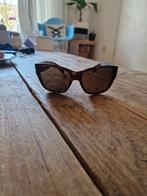 Persol Zonnebril, Sieraden, Tassen en Uiterlijk, Zonnebrillen en Brillen | Heren, Overige merken, Zonnebril, Bruin, Ophalen of Verzenden