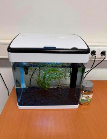 Aquarium beschikbaar voor biedingen