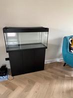 Aquarium Juwel 180 Liter, Dieren en Toebehoren, Ophalen, Gebruikt, Leeg aquarium