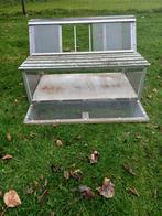 Spoetnik, Mannelijk, Postduif