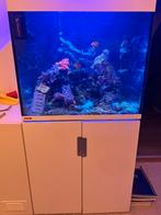 Eheim zee aquarium, Dieren en Toebehoren, Ophalen, Gebruikt, Gevuld zeewateraquarium