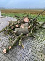 Eiken hout, Tuin en Terras, Haardhout, 3 tot 6 m³, Ophalen, Eikenhout, Stammen