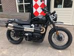 Triumph SCRAMBLER 900 FAT TANK (bj 2025), Bedrijf, 900 cc, Naked bike
