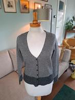 Prachtig vestje van Adolfo Dominguez maat xs, Zwart, Ophalen of Verzenden, Zo goed als nieuw, Adolf dominqeuz