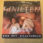 Raymond van het Groenewoud - Genieten, Cd's en Dvd's, Vinyl Singles, Gebruikt, Ophalen of Verzenden, Single