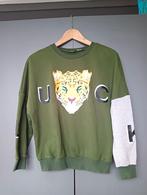 Groene sweater met tijgerkop mt M van Koriri, Ophalen of Verzenden, Gedragen, Groen, Maat 38/40 (M)