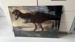 T-Rex poster van Naturalis met lijst, Ophalen, Gebruikt, 50 tot 75 cm, Foto of Poster