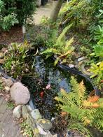 Vijver met vissen, Tuin en Terras, Vijvers, Ophalen, Gebruikt