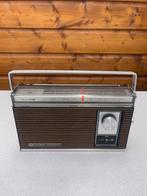 Panasonic RF-829DTB, Ophalen of Verzenden, Zo goed als nieuw