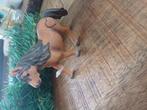 Schleich Shetlander, Verzamelen, Ophalen of Verzenden, Zo goed als nieuw, Paard, Beeldje of Figuurtje