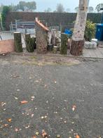 Spijkerblok ,boomstam,spijkerslaan,pilaar, Tuin en Terras, Haardhout, Ophalen of Verzenden, Overige houtsoorten, Blokken