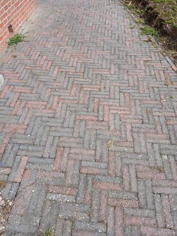 Waaltjes beschikbaar voor biedingen