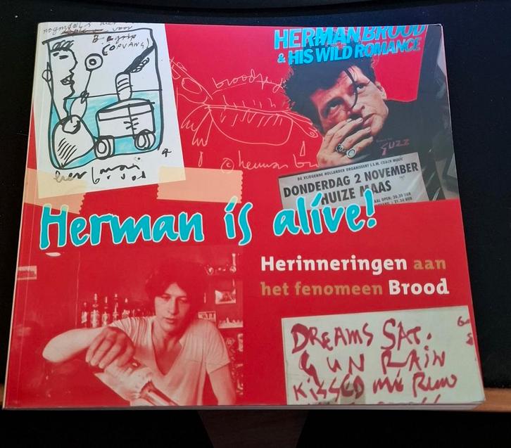 Herman Brood - Herinneringen aan het fenomeen, Boeken, Biografieën, Gelezen, Kunst en Cultuur, Ophalen of Verzenden
