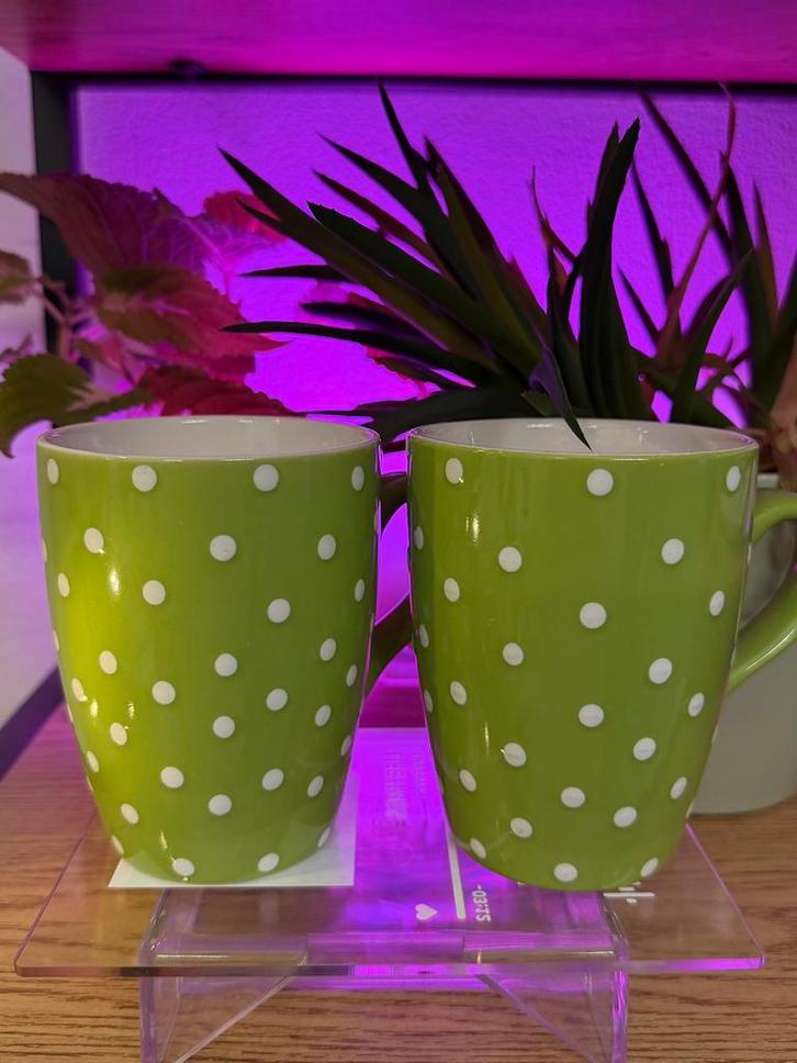 Green Polka Dot Ceramic Mugs – Set of 2, Huis en Inrichting, Keuken | Servies, Zo goed als nieuw, Overige typen, Overige stijlen