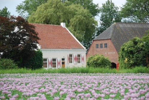 Opslagruimte in schuur 80 m2, Tuin en Terras, Bergingen en Tuinkasten, Hout, Ophalen
