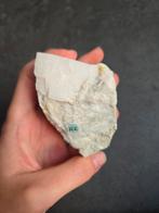 Witte Calciet Mineraal, Ophalen of Verzenden, Mineraal