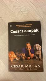 Cesar Milan - Cesars aanpak, Ophalen of Verzenden, Zo goed als nieuw, Honden
