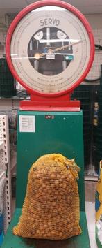 20 kg Verse Walnoten, Ophalen of Verzenden, Nieuw