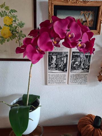 Prachtige Orchidee - Kunstplant beschikbaar voor biedingen