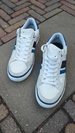 Tommy Hilfiger sneakers., Ophalen of Verzenden, Zo goed als nieuw