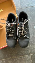 Werk schoenen maat 45, Ophalen of Verzenden, Nieuw