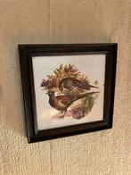 Vogelschilderijtjes. Gratis ophalen., Ophalen, Zo goed als nieuw, Hout, Minder dan 50 cm