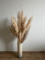 Pampas met vaas, Ophalen, Overige kleuren, 50 tot 75 cm, Nieuw
