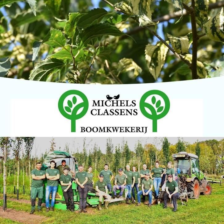 Tractorchauffeur/Kraanmachinist, Vacatures, Vacatures | Landbouw, Natuur en Milieu, Tijdelijk contract, Variabele uren