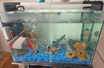 Superfish home 110 Zwart  beschikbaar voor biedingen