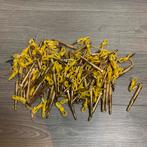 12v spanningszoeker (los of partij), Doe-het-zelf en Verbouw, Info@jynkx.com, Jynkx, Nieuw, Ophalen of Verzenden
