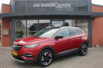Opel Grandland X 1.2 Turbo Business Executive  Camera  beschikbaar voor biedingen