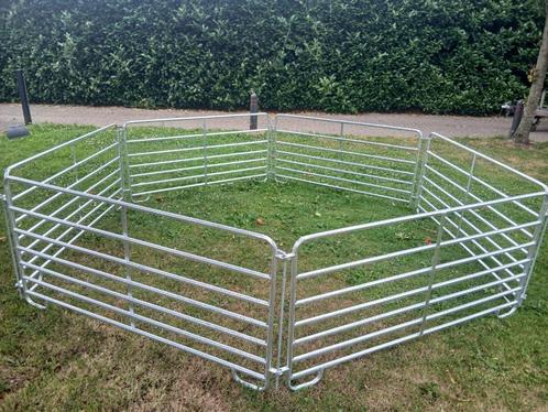 Te koop: nieuwe vanghekken, Dieren en Toebehoren, Schapen, Geiten en Varkens, Schaap, Meerdere dieren