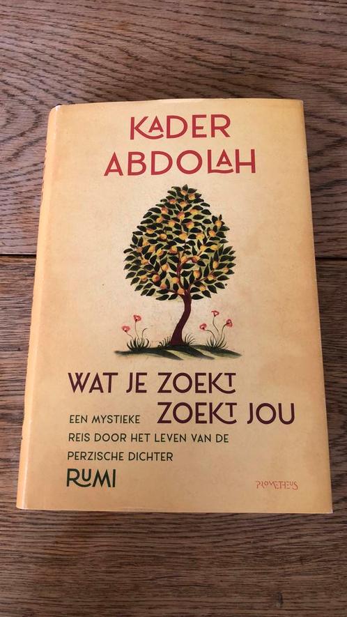 Kader Abdolah - Wat je zoekt, zoekt jou, Boeken, Literatuur, Zo goed als nieuw, Ophalen of Verzenden