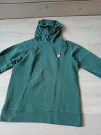 Vingino groene hoodie/trui/sweater 176, Ophalen of Verzenden, Gebruikt, Jongen, Trui of Vest