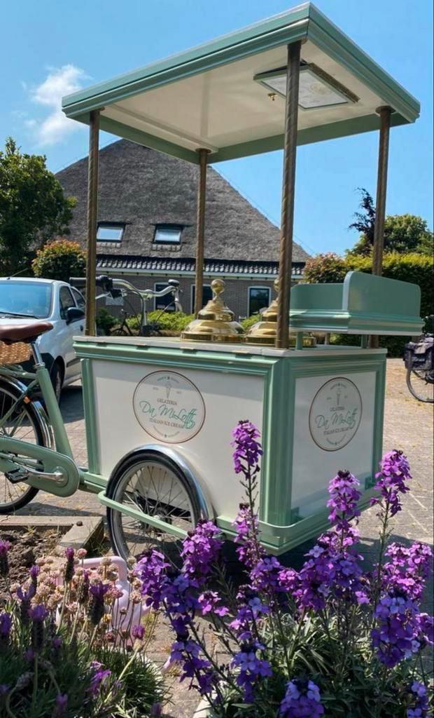 Ijsfiets te koop - unieke kans!, Fietsen en Brommers, Fietsen | Racefietsen, Overige merken, Minder dan 10 versnellingen, Aluminium