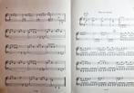 The Boogie Woogie Express. Piano., Muziek en Instrumenten, Bladmuziek, Gebruikt, Les of Cursus, Ophalen of Verzenden, Piano