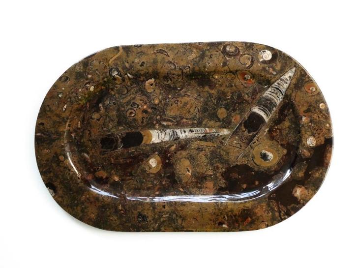 Fossiele schaal serveerschaal schaal ammoniet orthoceras..., Antiek en Kunst, Antiek | Overige Antiek, Ophalen of Verzenden