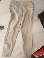 rijbroek lichtbeige Kingsland 40/42, Dieren en Toebehoren, Dressuur, Zo goed als nieuw, Dames, Onderkleding