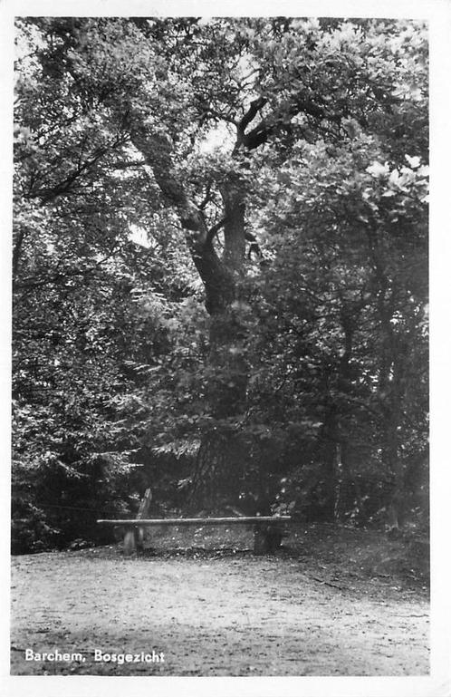 (387-204-003) Barchem Bosgezicht, Verzamelen, Ansichtkaarten | Nederland, Gelderland, Verzenden