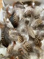 Echte Vogelveren ter verfraaiing van Kostuums/Hoeden/Bichoux, Ophalen of Verzenden, Nieuw