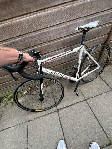 Colnago Racefiets - Primavera maat 52cm beschikbaar voor biedingen