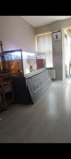 Groot Aquarium 200x60x60 cm, Dieren en Toebehoren, Vissen | Aquaria en Toebehoren, Ophalen, Gebruikt, Gevuld zoetwateraquarium