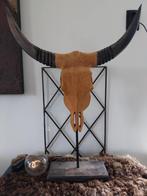 Prachtige massief houten stierenkop, Ophalen, Zo goed als nieuw