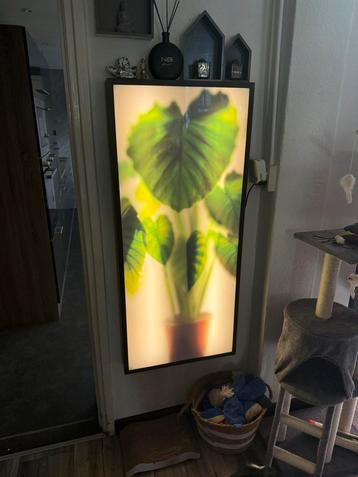 Zuiver grow vloerlamp beschikbaar voor biedingen