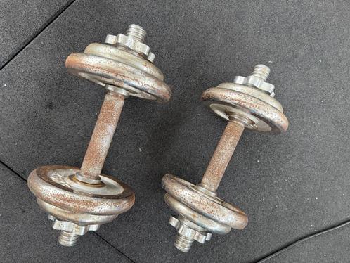 Kleine dumbbellset – 15 kg totaal, Sport en Fitness, Fitnessmaterialen, Gebruikt, Armen, Benen, Borst, Buik, Rug, Ophalen